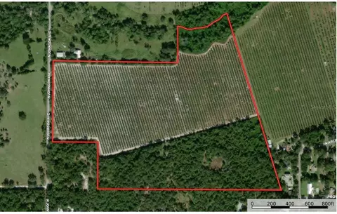 NW Livingston Street, Arcadia, FL 34266