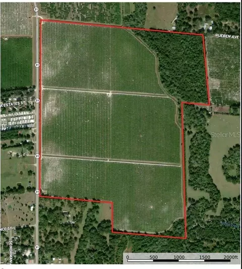 SE Hwy 31, Arcadia, FL 34266