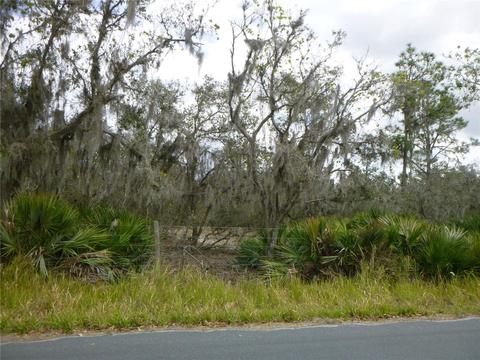 0 Gabriel Rd, Fort Meade, FL 33841