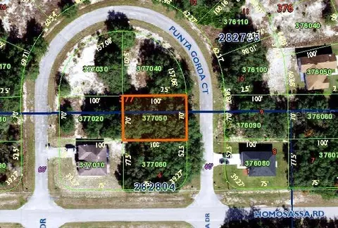 1402 Punta Gorda Ct, Poinciana, FL 34759