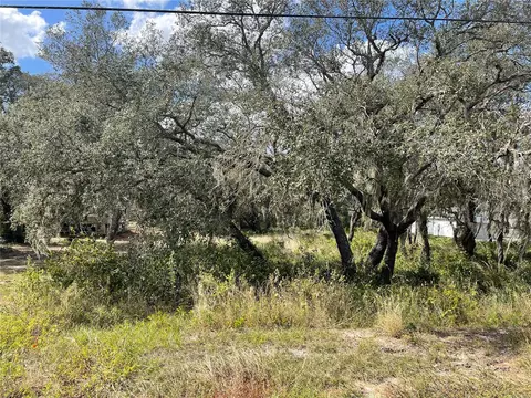1040 Capps Rd, Lake Wales, FL 33898