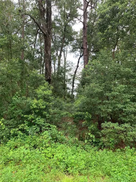 0 Thornhill Dr, Sorrento, FL 32776