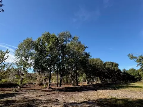 Hammock Loop, Polk City, FL 33868
