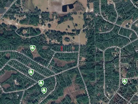 116 Coldbrook St, Georgetown, FL 32139 photo 2