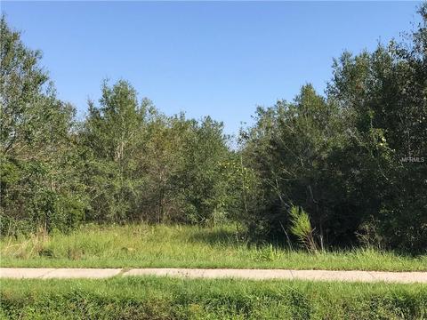 1403 E Maple St, Arcadia, FL 34266 photo 1