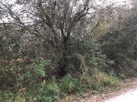 2807 SE Timber Dr, Arcadia, FL 34266 photo 1