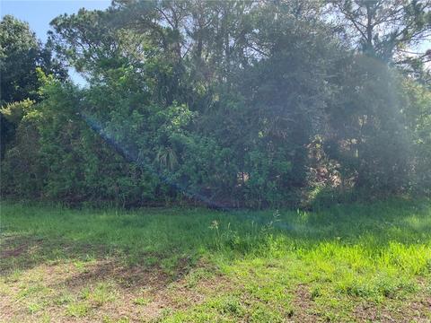 11667 Oceanspray Blvd, Englewood, FL 34224
