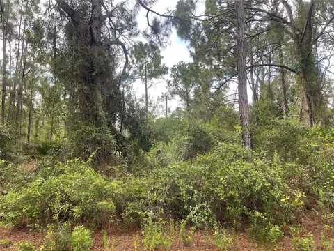 Hedgecoth Avenue, North Port, FL 34291