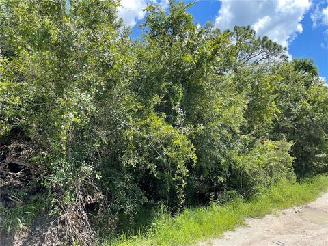1205 Effie St, Arcadia, FL 34266 photo 1