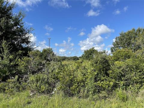 4752 SE Rye Ave, Arcadia, FL 34266 photo 1