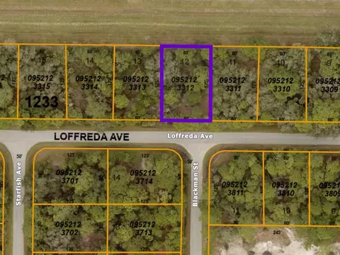 Loffreda Avenue, North Port, FL 34291