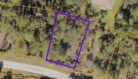 Hawksbill Avenue, North Port, FL 34291