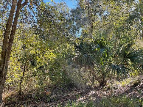 5048 SE Oats Ave, Arcadia, FL 34266