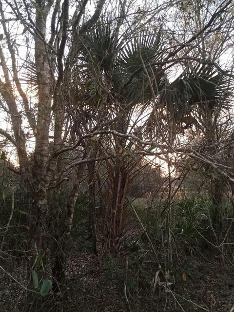 21009 NW 256th St, Okeechobee, FL 34972 photo 1