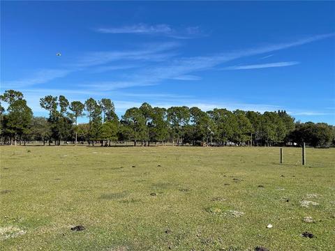 4537 SE Tomlin Dr, Arcadia, FL 34266 photo 1