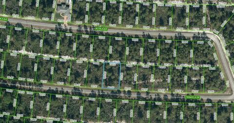 7818 Paradela Dr, Sebring, FL 33872 photo 1