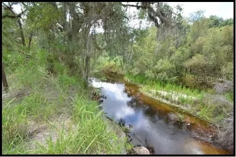7019 Crooked Creek Ln, Zolfo Springs, FL 33890