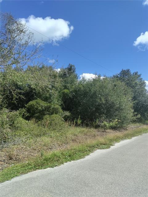 2116 Gardner Dr, Lorida, FL 33857 photo 1
