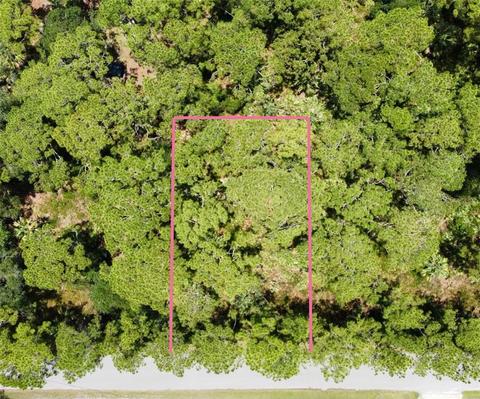 Padgette Street, North Port, FL 34291