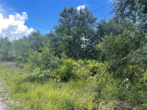 4543 SE Wheat Ave, Arcadia, FL 34266 photo 1