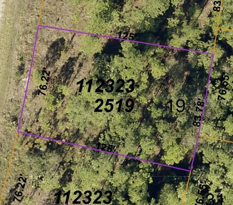 Langlais Drive, North Port, FL 34288
