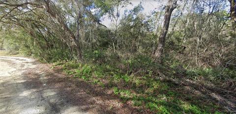 33449 West Blvd, Webster, FL 33597 photo 1