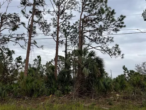 Eagle Pass Street, North Port, FL 34286