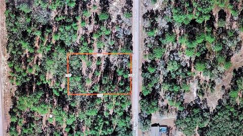SW Big Tree Road, Dunnellon, FL 34431