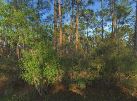 12116 Le Jeune Dr, Punta Gorda, FL 33955