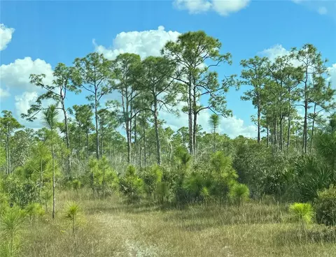 17480 Burnt Store Rd, Punta Gorda, FL 33955