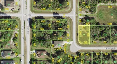 161 White Pine Dr, Rotonda West, FL 33947