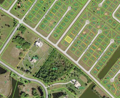 3 Iris Ct, Placida, FL 33946