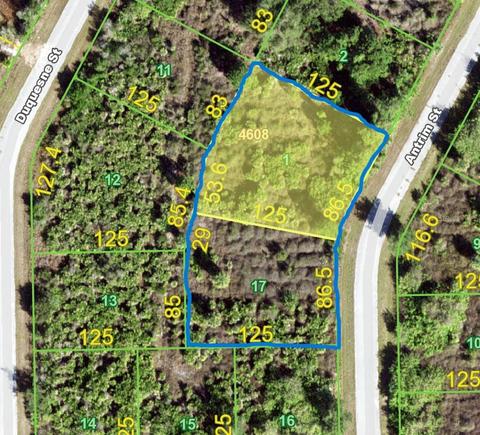10035 Antrim St, Port Charlotte, FL 33981