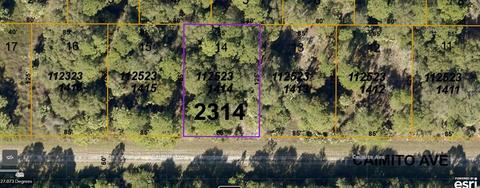 Caimito Avenue, North Port, FL 34288