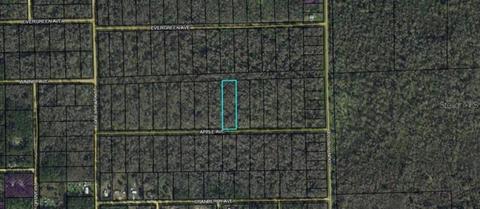 3682 Apple Ave, Bunnell, FL 32110 photo 1