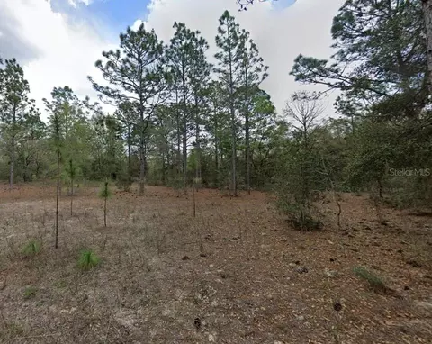 Sw 152 Avenue, Ocala, FL 34481