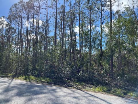 Langsom Lane, North Port, FL 34286