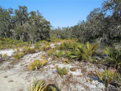 2962 N Nepera Rd, Avon Park, FL 33825
