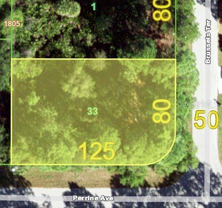12358 Perrine Ave, Port Charlotte, FL 33981