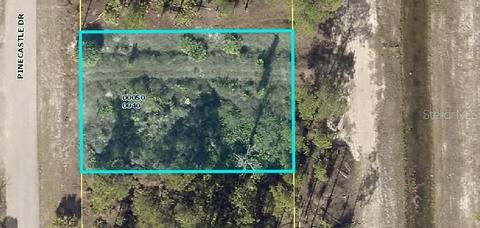 807 Pinecastle Dr, Lehigh Acres, FL 33974