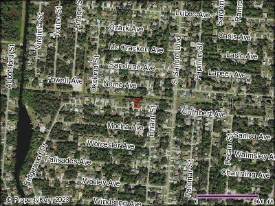 Cuthbert Avenue, North Port, FL 34287