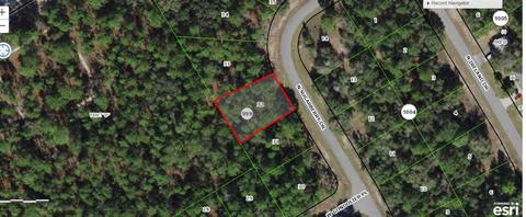 7428 N Sugarberry Dr, Citrus Springs, FL 34434