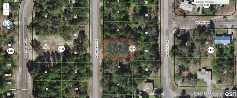 11097 N Trigger Ter, Citrus Springs, FL 34433