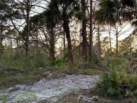 Kravitz Street, North Port, FL 34291