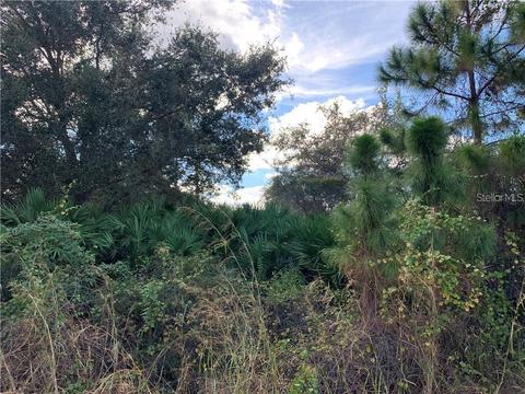 Napoleon Road, North Port, FL 34288