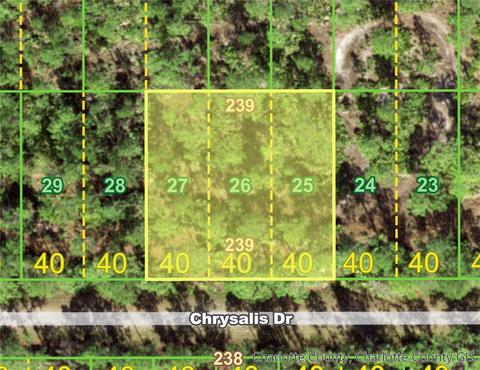 27466 Chrysalis Dr, Punta Gorda, FL 33955
