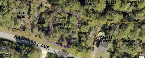 Hawksbill Avenue, North Port, FL 34291