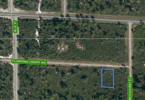 3518 Flowering Cherry Ave, Lake Placid, FL 33852