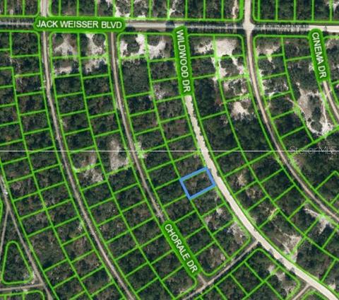 358 Wildwood Dr, Lake Placid, FL 33852