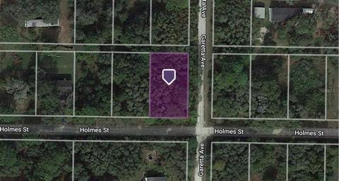 35365 Holmes St, Webster, FL 33597